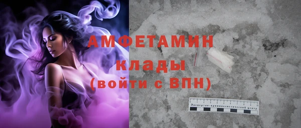мдпв Гусь-Хрустальный