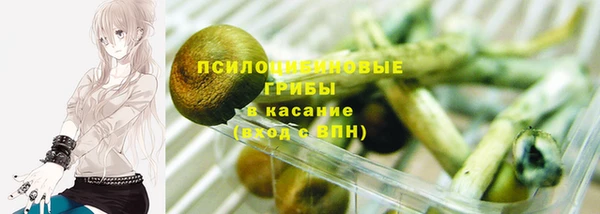 мдпв Гусь-Хрустальный