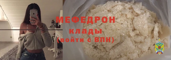 мдпв Гусев