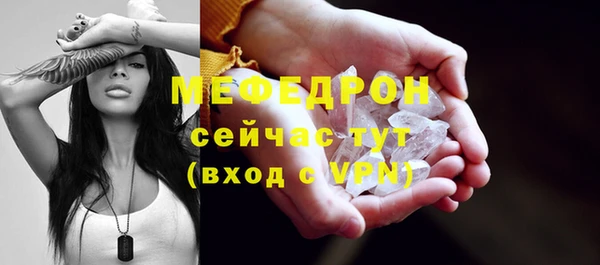 мдпв Гусев