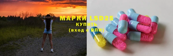 мдпв Гусев