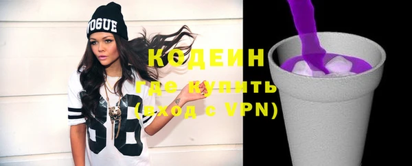 мдпв Гусь-Хрустальный