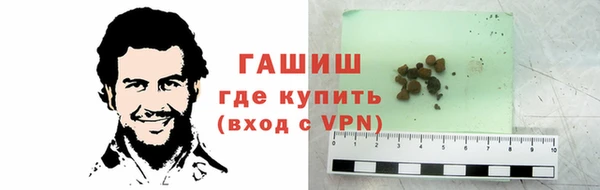 мдпв Гусев