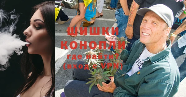 мдпв Гусь-Хрустальный