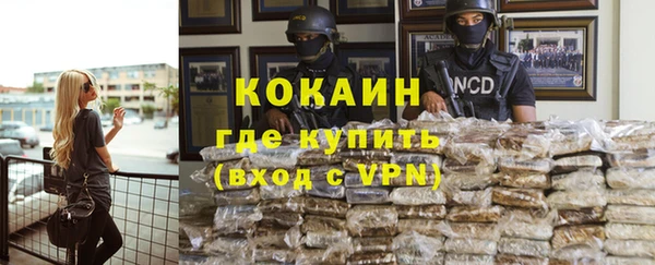 мдпв Гусев