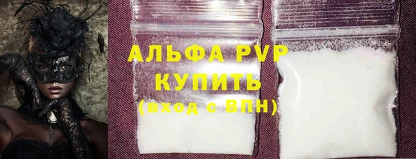 мдпв Гусев