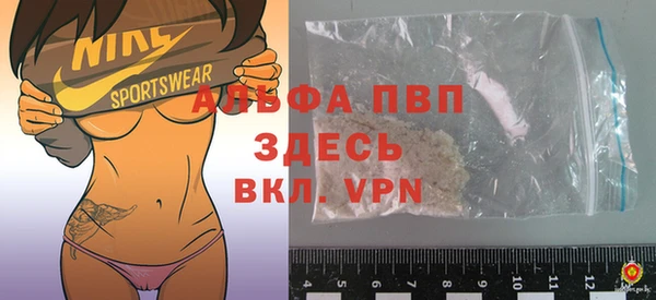 мдпв Гусев